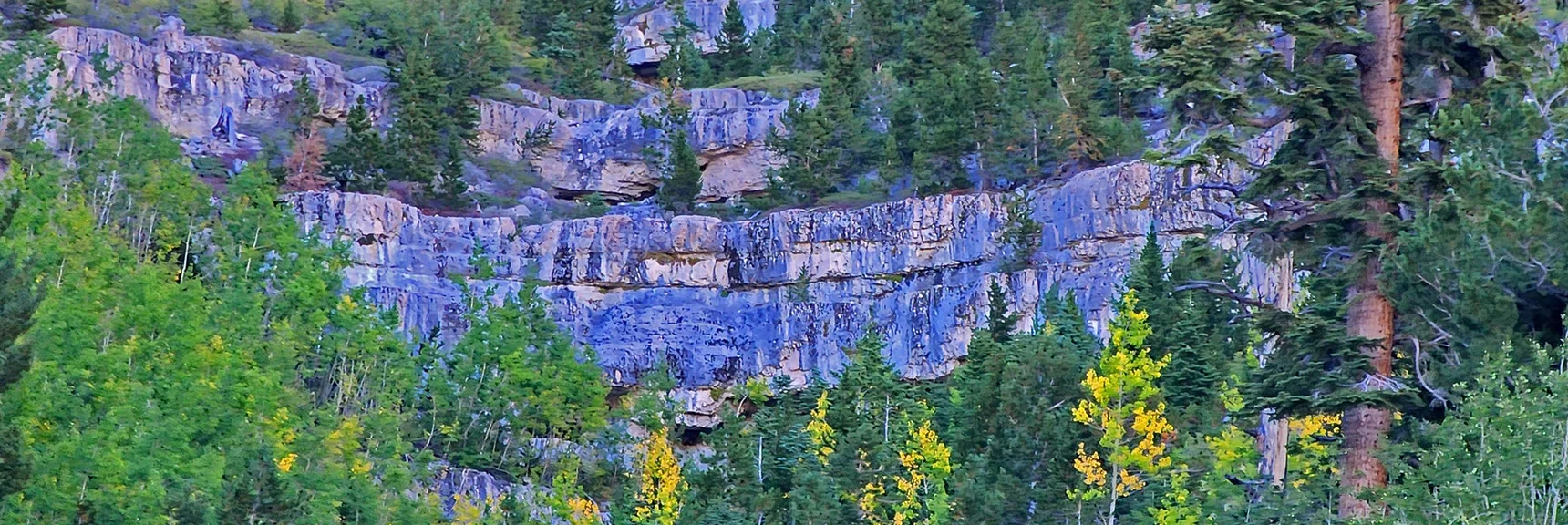 Foxtail Canyon Springs Trickles into a Beautiful Cove Under the Lower Ledge | Mummy Mountain Grand Crossing | Lee Canyon to Deer Creek Road | Mt Charleston Wilderness | Spring Mountains, Nevada |