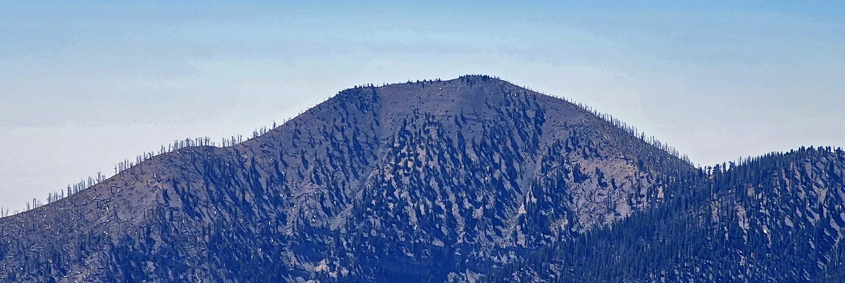 Griffith Peak from Lee/Kyle Canyon Upper Ridgeline | Mummy Mountain Grand Crossing | Lee Canyon to Deer Creek Road | Mt Charleston Wilderness | Spring Mountains, Nevada |