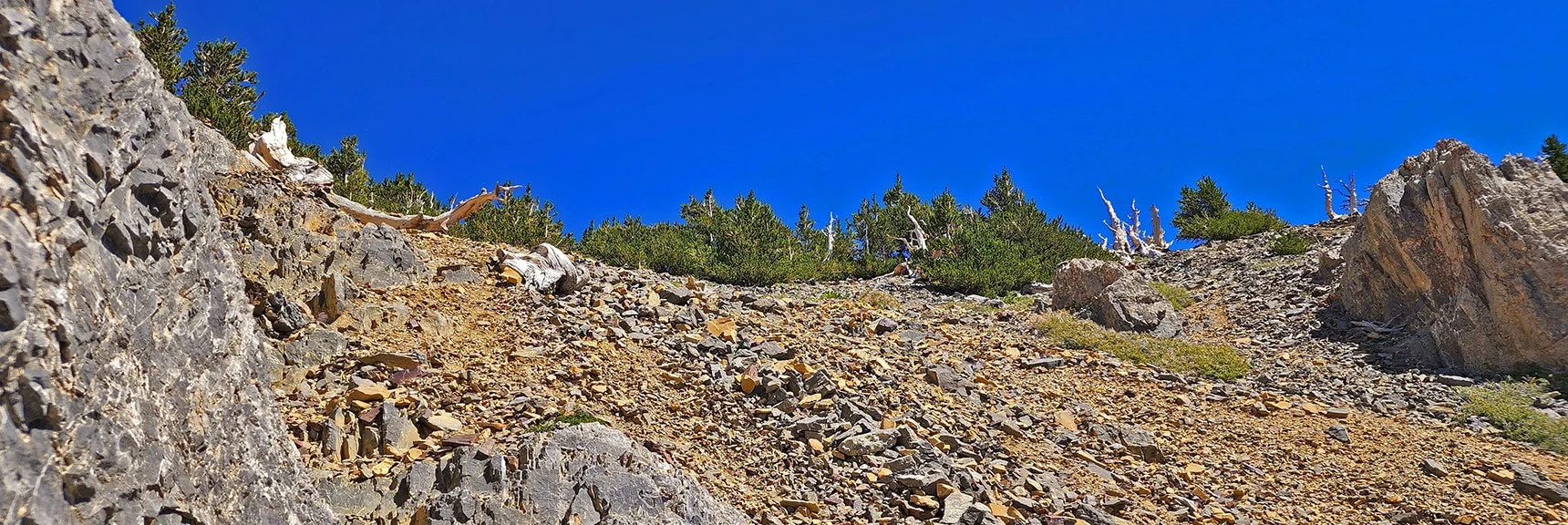 Rounding the Final Summit Approach Hill. Horizon Marks Mummy Mountain Summit. | Mummy Mountain Grand Crossing | Lee Canyon to Deer Creek Road | Mt Charleston Wilderness | Spring Mountains, Nevada |