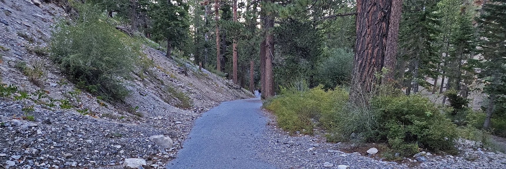 Arrival at Deer Creek Park Below Cougar Ridge Trail | Mummy Mountain Grand Crossing | Lee Canyon to Deer Creek Road | Mt Charleston Wilderness | Spring Mountains, Nevada |