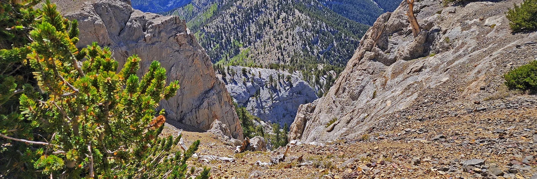 View Down the Mummy Mountain Final Summit Approach Cliff Opening | Mummy Mountain Grand Crossing | Lee Canyon to Deer Creek Road | Mt Charleston Wilderness | Spring Mountains, Nevada |