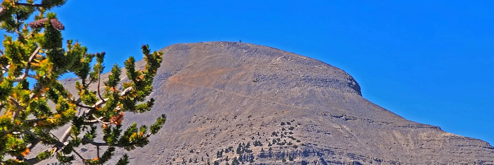 Charleston Peak and Final North Loop Trail Approach from Lee/Kyle Canyon Upper Ridgeline | Mummy Mountain Grand Crossing | Lee Canyon to Deer Creek Road | Mt Charleston Wilderness | Spring Mountains, Nevada |
