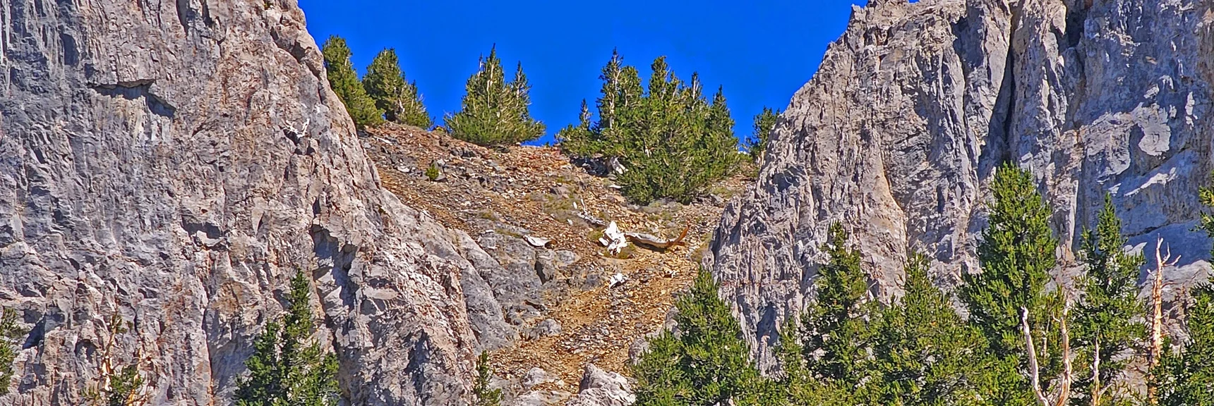 In Final Approach Cliff Opening Topping the Last Hill Before Mummy Mountain Summit | Mummy Mountain Grand Crossing | Lee Canyon to Deer Creek Road | Mt Charleston Wilderness | Spring Mountains, Nevada |