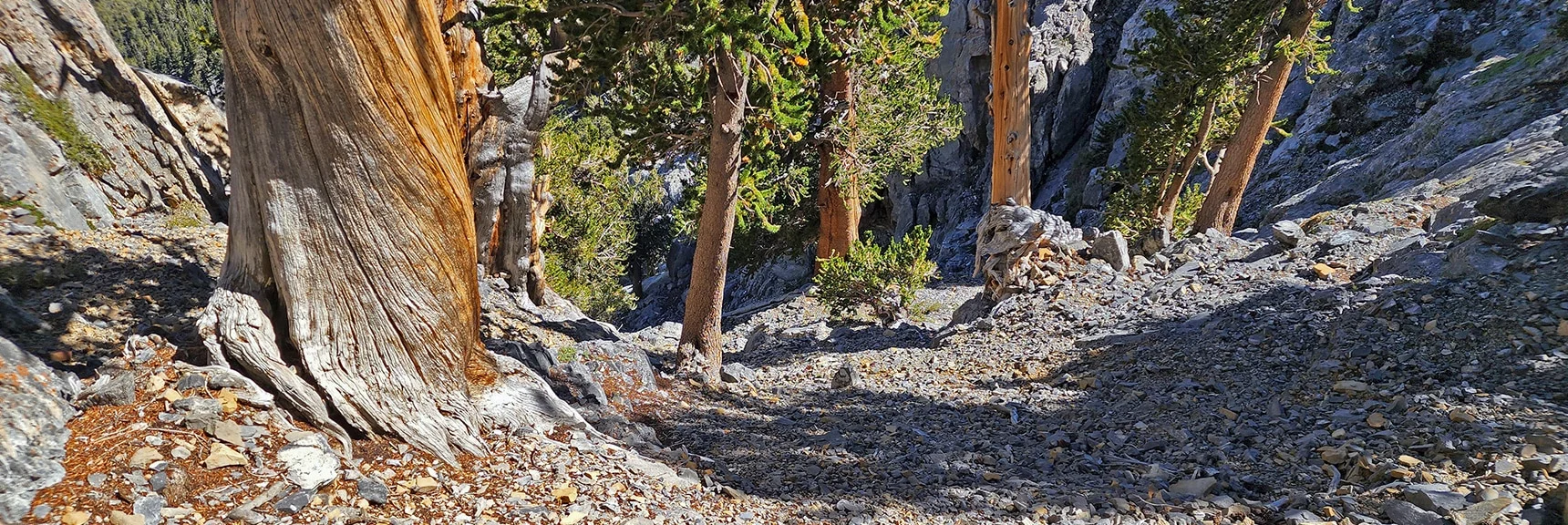 Upper Portion of the Descent Chute. | Mummy Mountain Grand Crossing | Lee Canyon to Deer Creek Road | Mt Charleston Wilderness | Spring Mountains, Nevada |