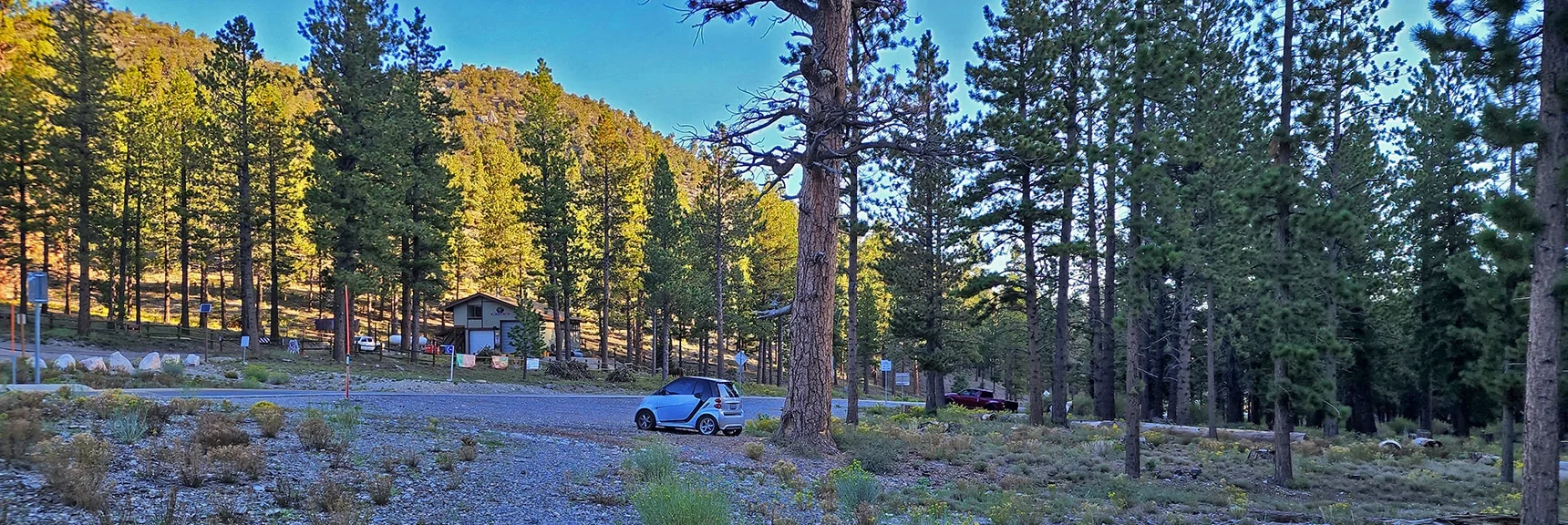 At the Foxtail Picnic Area & Lee Canyon Road Ready to Go | Mummy Mountain Grand Crossing | Lee Canyon to Deer Creek Road | Mt Charleston Wilderness | Spring Mountains, Nevada |