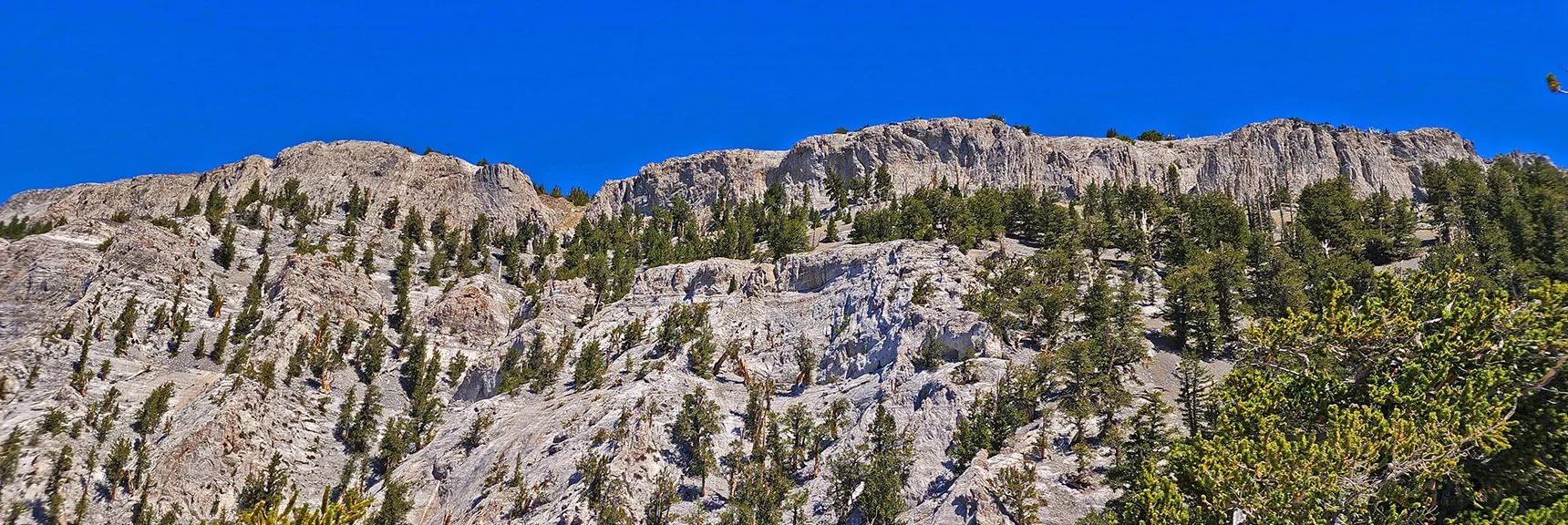 Final Stretch to Mummy Mountain. Now on Traditional Approach Route | Mummy Mountain Grand Crossing | Lee Canyon to Deer Creek Road | Mt Charleston Wilderness | Spring Mountains, Nevada |