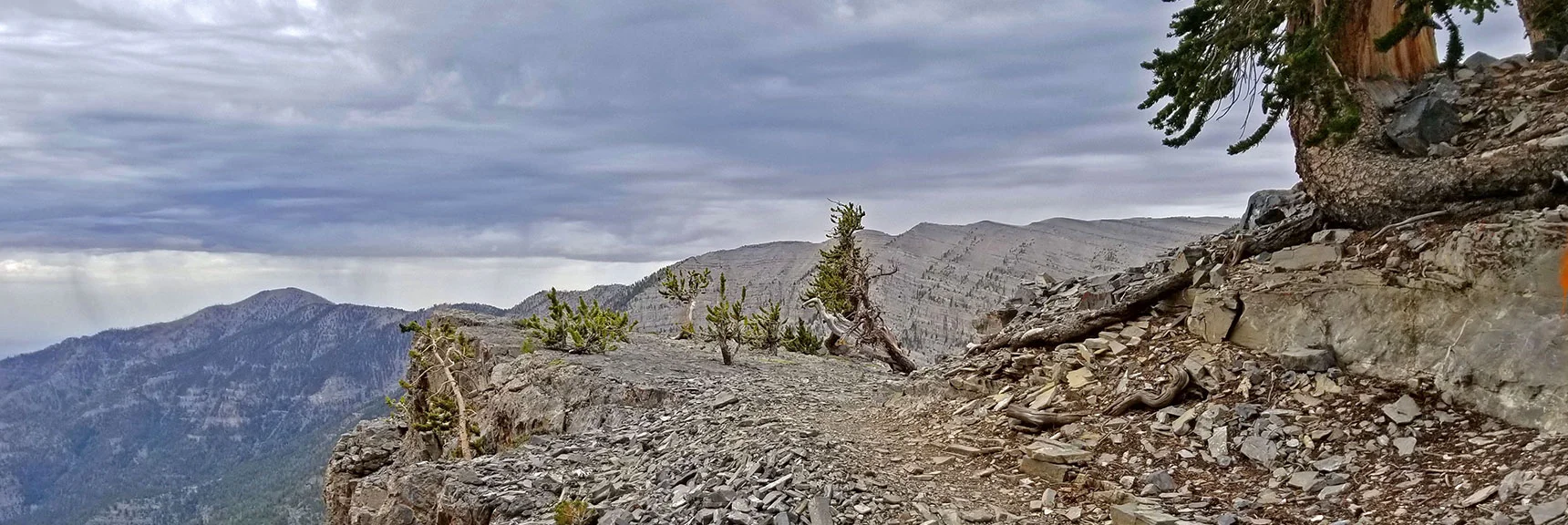 Head 1/4th Mile Off Trail to Lee Peak Summit at the 4th Plateau Overlook | Lee and Charleston Peaks via Lee Canyon Mid Ridge | Mt Charleston Wilderness | Spring Mountains, Nevada