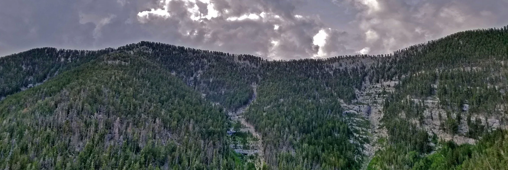Where Foxtail Canyon Approach Meets Lee/Kyle Canyon Upper Rim | Lee and Charleston Peaks via Lee Canyon Mid Ridge | Mt Charleston Wilderness | Spring Mountains, Nevada