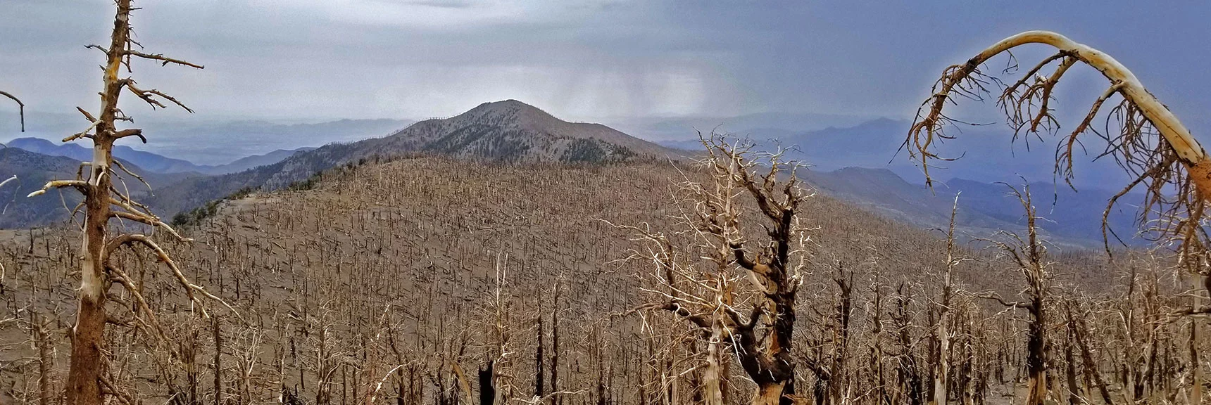 Griffith Peak and Burn Area Come into View at the Saddle | Lee and Charleston Peaks via Lee Canyon Mid Ridge | Mt Charleston Wilderness | Spring Mountains, Nevada