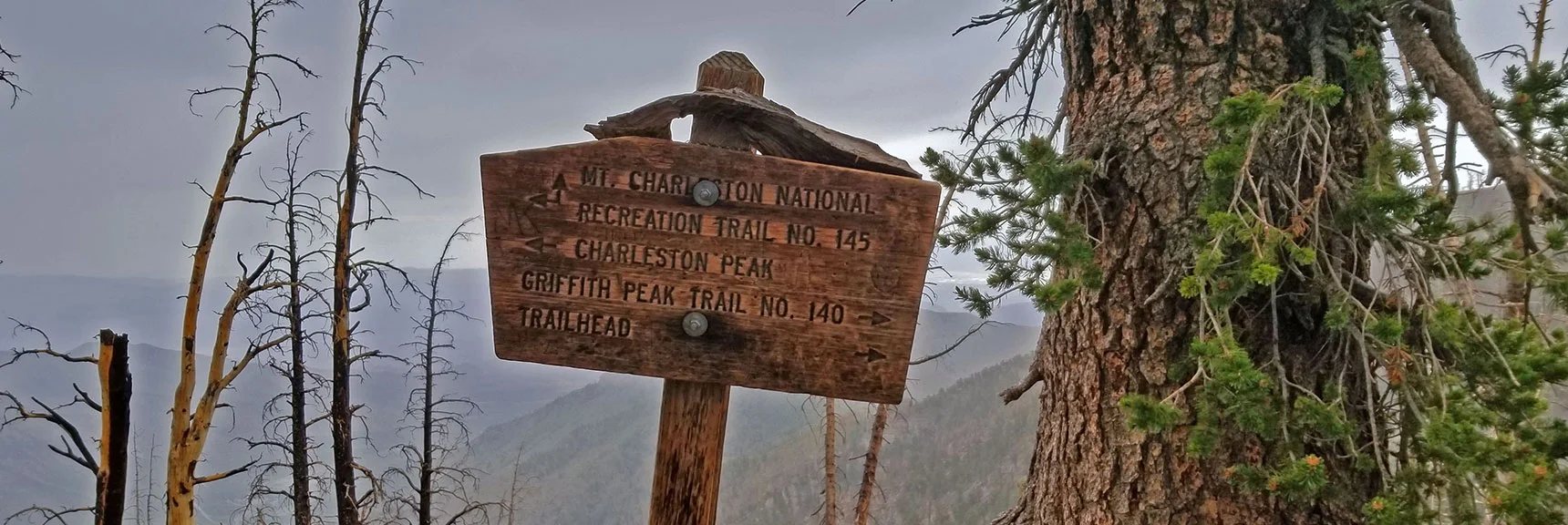 Trail Choices at "The Junction" | Lee and Charleston Peaks via Lee Canyon Mid Ridge | Mt Charleston Wilderness | Spring Mountains, Nevada