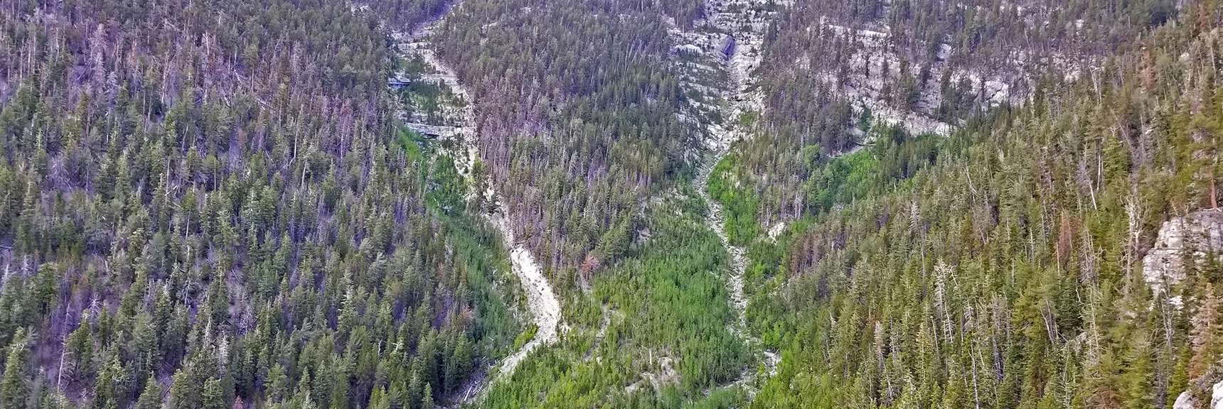 View Downward (East) to Foxtail Canyon Upper Rim Approach | Lee and Charleston Peaks via Lee Canyon Mid Ridge | Mt Charleston Wilderness | Spring Mountains, Nevada