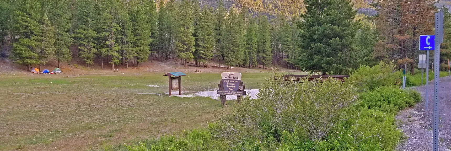 Starting Point at Upper Lee Meadows 6:30am Mid July | Lee and Charleston Peaks via Lee Canyon Mid Ridge | Mt Charleston Wilderness | Spring Mountains, Nevada