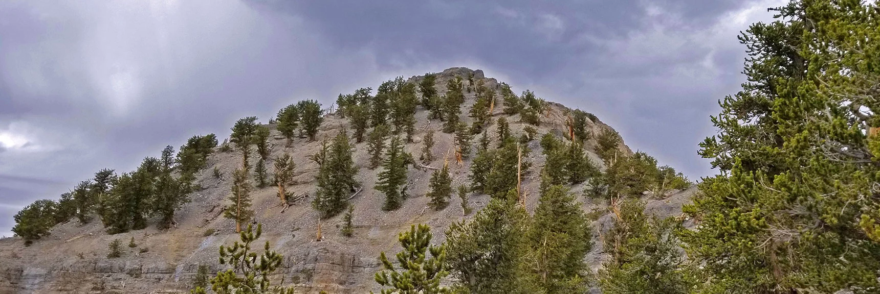Lee Peak Comes into View from Below on North Loop Trail | Lee and Charleston Peaks via Lee Canyon Mid Ridge | Mt Charleston Wilderness | Spring Mountains, Nevada