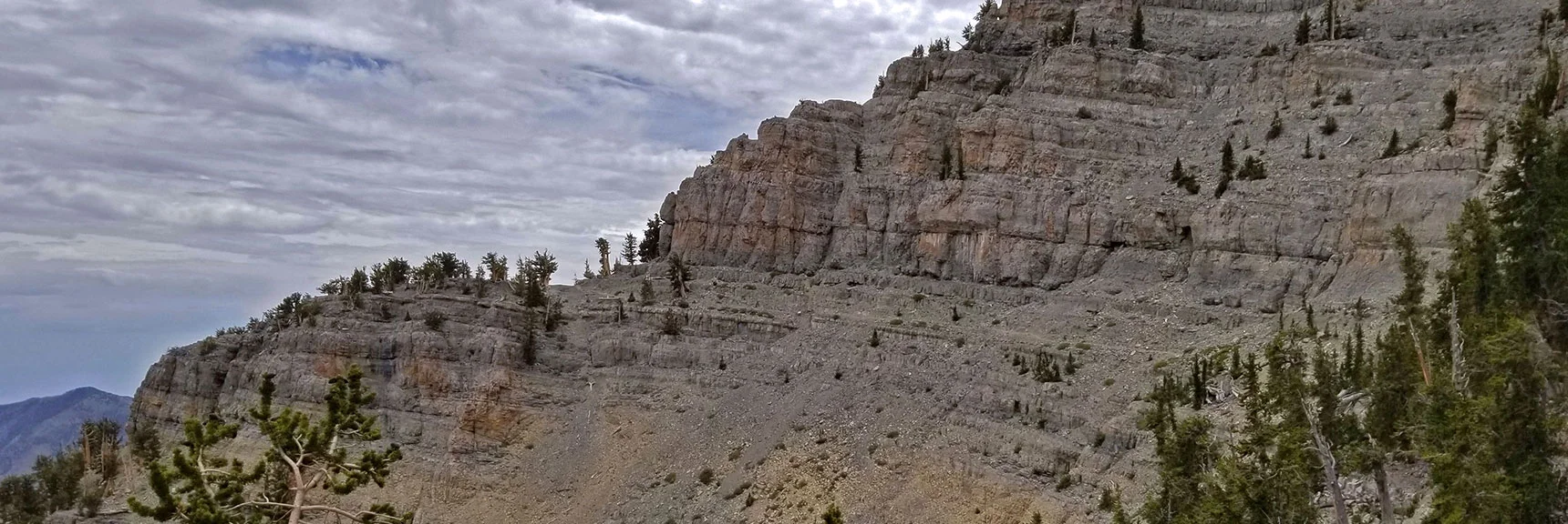 Trail Amazingly Passes Along the Cliffs Ahead | Lee and Charleston Peaks via Lee Canyon Mid Ridge | Mt Charleston Wilderness | Spring Mountains, Nevada