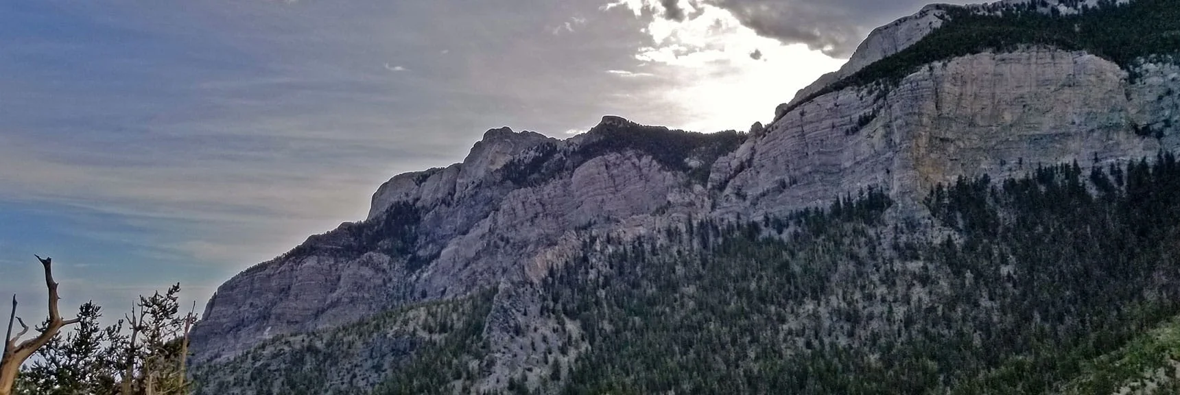 Mummy Mountain Head from Lee Canyon Mid-Ridge | Lee and Charleston Peaks via Lee Canyon Mid Ridge | Mt Charleston Wilderness | Spring Mountains, Nevada