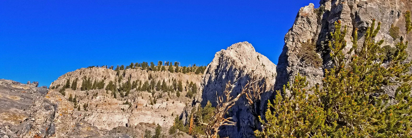 View Over the Ledge Toward Mummy Mountain Main Summit Area and Intervening Cliffs. | Grand Circuit Loop Cougar Ridge Trail, Mummy Mountain Knees | Mummy Mountain Toe | Mummy Springs | Raintree | Fletcher Peak | Mt Charleston Wilderness | Spring Mountains, Nevada