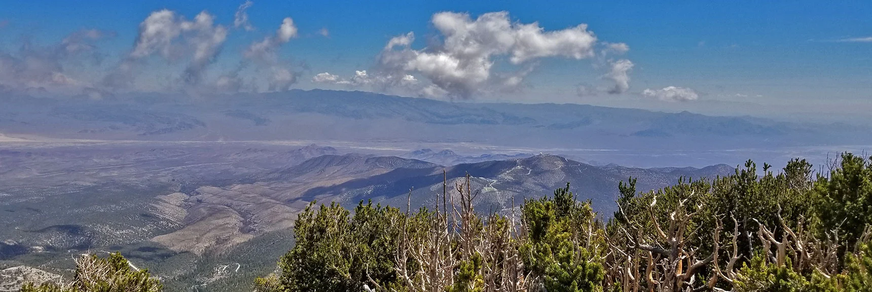 Sheep Range, Fossil Ridge, Gass Peak Background to Angel Peak and Upper Las Vegas Valley from Mummy's Toe. | Grand Circuit Loop Cougar Ridge Trail, Mummy Mountain Knees | Mummy Mountain Toe | Mummy Springs | Raintree | Fletcher Peak | Mt Charleston Wilderness | Spring Mountains, Nevada