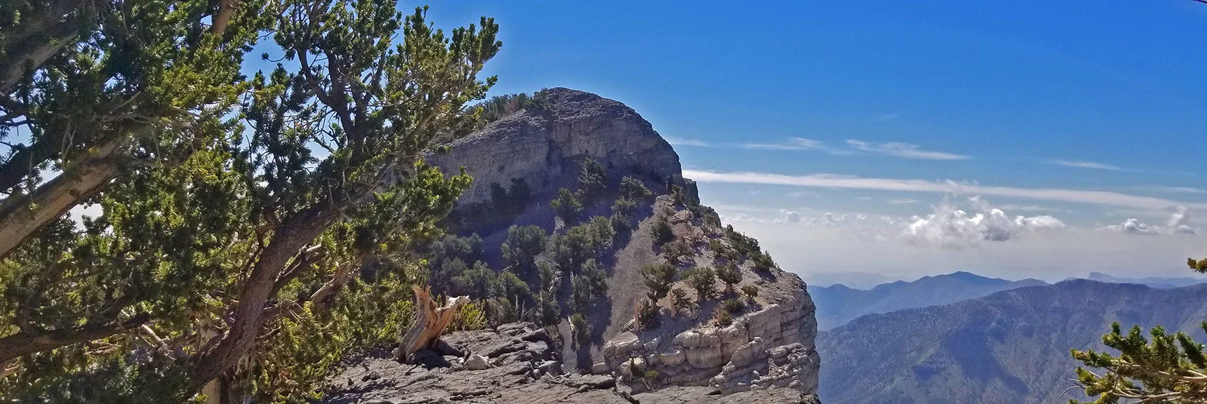 Hugging the Upper Ledge Between Mummy's Knees and Mummy's Toe | Grand Circuit Loop Cougar Ridge Trail, Mummy Mountain Knees | Mummy Mountain Toe | Mummy Springs | Raintree | Fletcher Peak | Mt Charleston Wilderness | Spring Mountains, Nevada