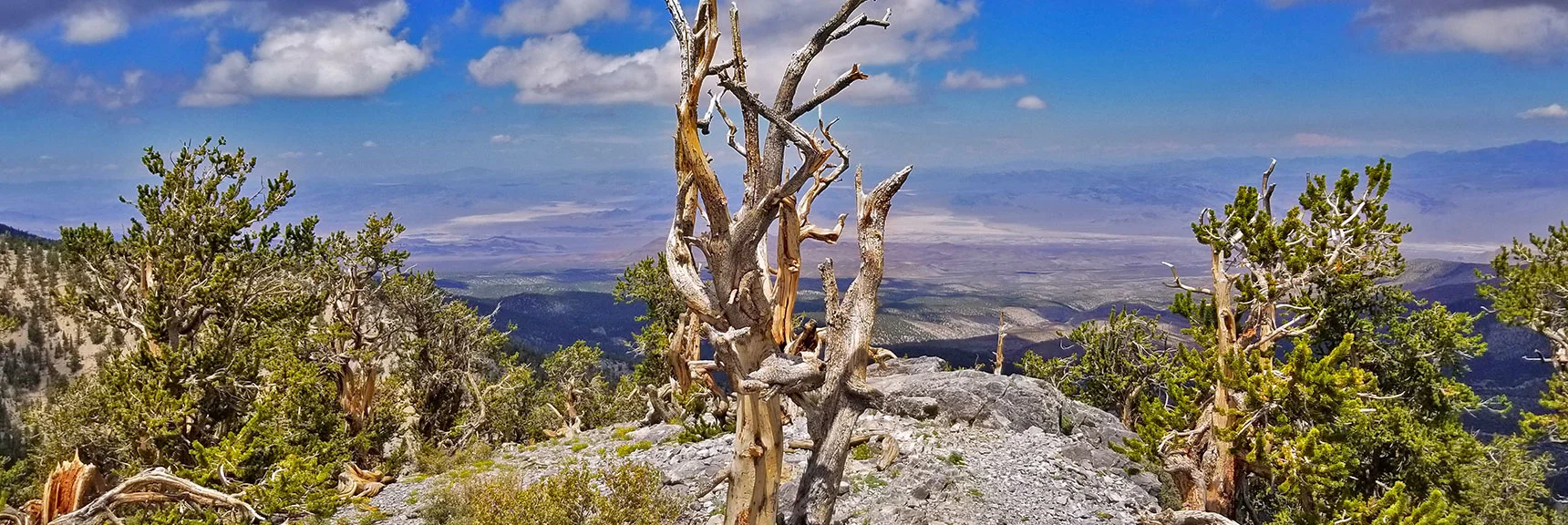 Hwy 95 Corridor Valley North of Las Vegas from Fletcher Peak Summit. | Grand Circuit Loop Cougar Ridge Trail, Mummy Mountain Knees | Mummy Mountain Toe | Mummy Springs | Raintree | Fletcher Peak | Mt Charleston Wilderness | Spring Mountains, Nevada