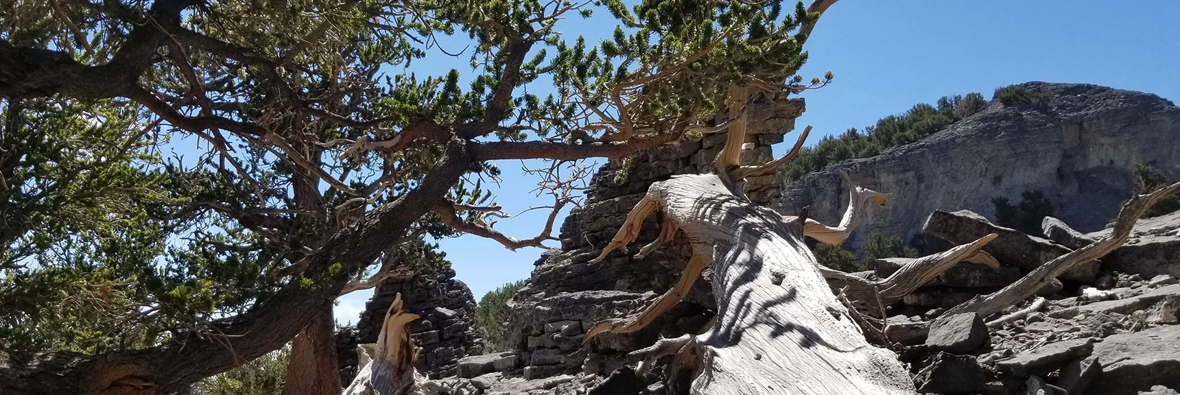 Note the Beautiful Artistic Limestone Pillars. Limestone Brick Upon Brick Formation. | Grand Circuit Loop Cougar Ridge Trail, Mummy Mountain Knees | Mummy Mountain Toe | Mummy Springs | Raintree | Fletcher Peak | Mt Charleston Wilderness | Spring Mountains, Nevada