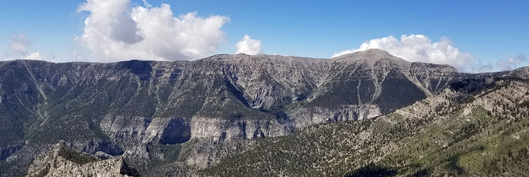 Kyle Canyon South Rim, Charleston Peak, Cockscomb Ridge from Mummy's Toe Summit. | Grand Circuit Loop Cougar Ridge Trail, Mummy Mountain Knees | Mummy Mountain Toe | Mummy Springs | Raintree | Fletcher Peak | Mt Charleston Wilderness | Spring Mountains, Nevada