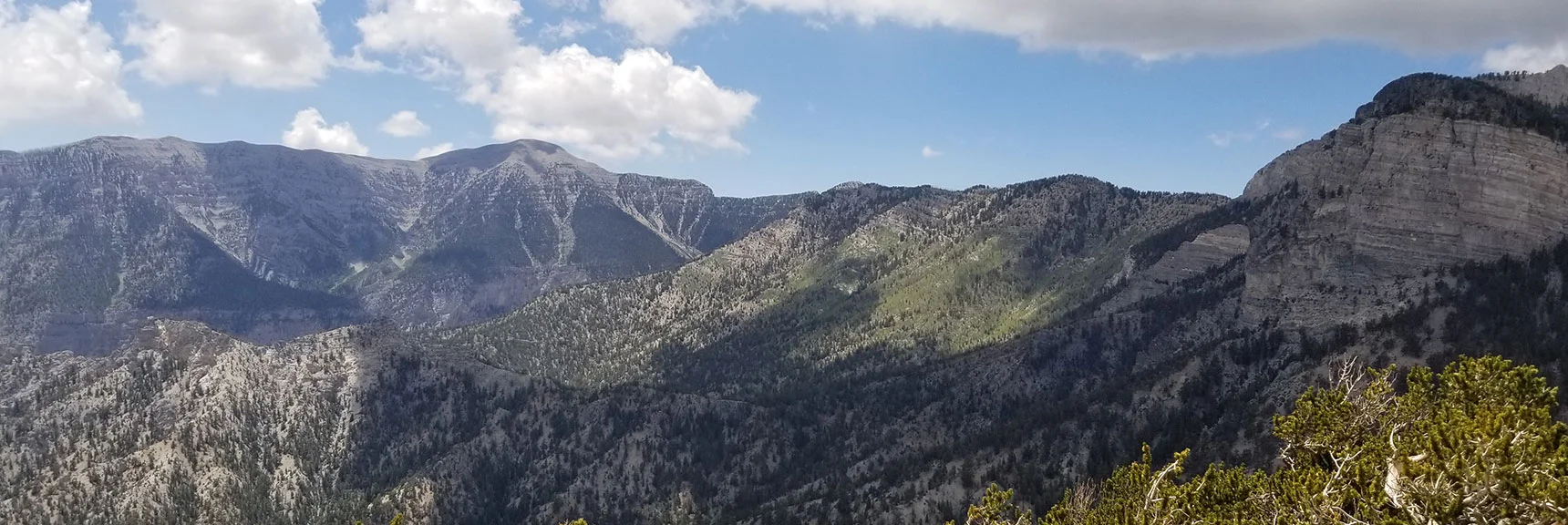 Charleston Peak to Mummy Mountain Summit Cliffs from Fletcher Peak Summit. | Grand Circuit Loop Cougar Ridge Trail, Mummy Mountain Knees | Mummy Mountain Toe | Mummy Springs | Raintree | Fletcher Peak | Mt Charleston Wilderness | Spring Mountains, Nevada