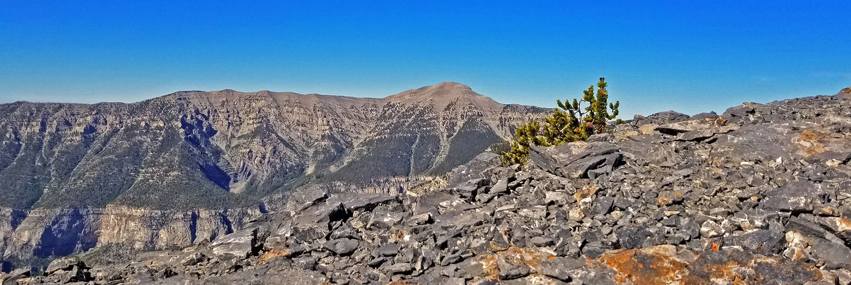 Charleston Peak Viewed Over the Edge of the Limestone Slab on Mummy's Knees. | Grand Circuit Loop Cougar Ridge Trail, Mummy Mountain Knees | Mummy Mountain Toe | Mummy Springs | Raintree | Fletcher Peak | Mt Charleston Wilderness | Spring Mountains, Nevada