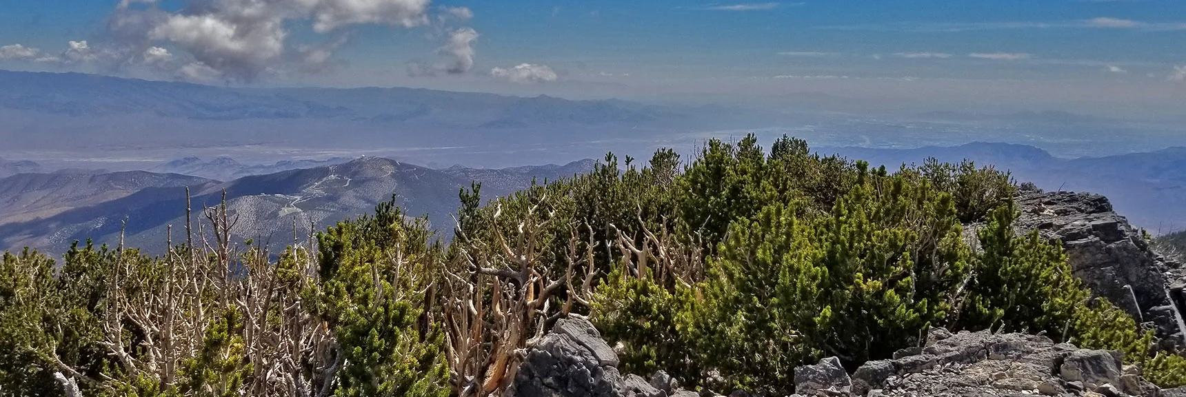 Mummy's Toe Eastern View to Fossil Ridge, Gass Peak and Upper Las Vegas Valley. | Grand Circuit Loop Cougar Ridge Trail, Mummy Mountain Knees | Mummy Mountain Toe | Mummy Springs | Raintree | Fletcher Peak | Mt Charleston Wilderness | Spring Mountains, Nevada