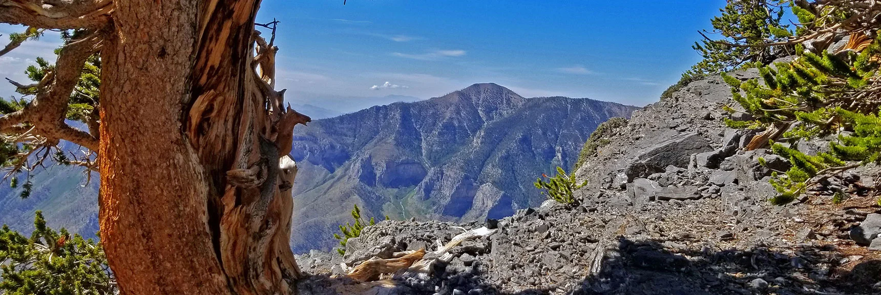 Griffith Peak from the Edge of the Beautiful Limestone Slab Approaching Mummy's Toe from the Knees. | Grand Circuit Loop Cougar Ridge Trail, Mummy Mountain Knees | Mummy Mountain Toe | Mummy Springs | Raintree | Fletcher Peak | Mt Charleston Wilderness | Spring Mountains, Nevada