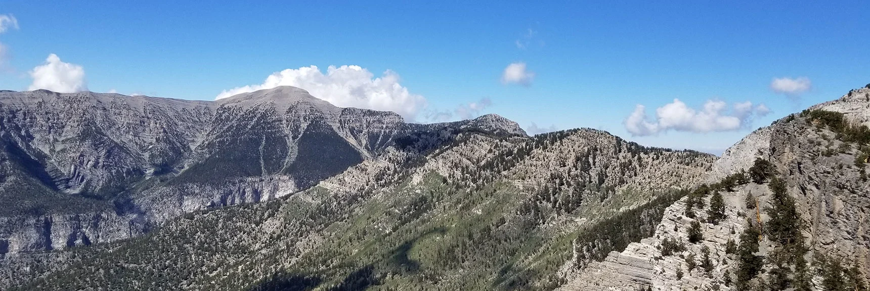 Charleston Peak, Lee Peak, Mummy's Knees Ridge from Mummy's Toe Summit. | Grand Circuit Loop Cougar Ridge Trail, Mummy Mountain Knees | Mummy Mountain Toe | Mummy Springs | Raintree | Fletcher Peak | Mt Charleston Wilderness | Spring Mountains, Nevada