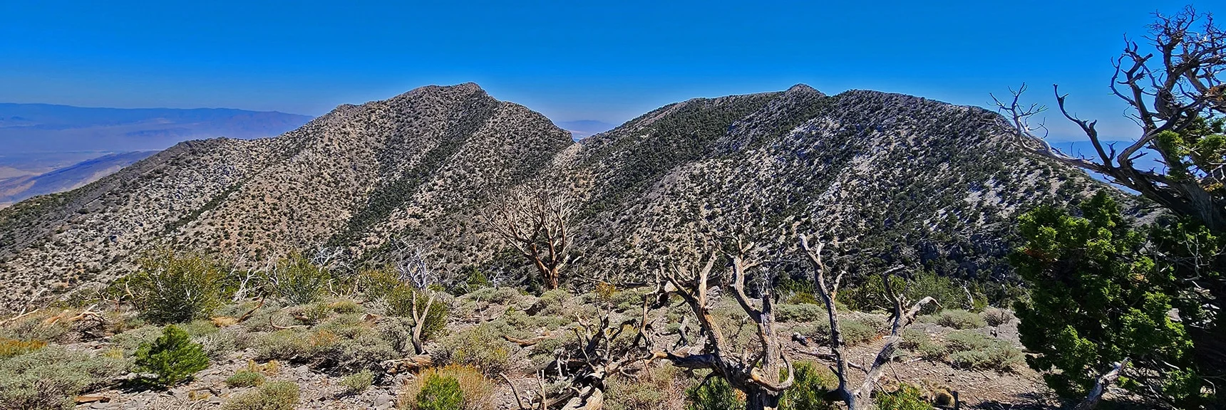La Madre Mt (Left) and El Padre Mt (right) from Burnt Peak Summit | Kyle Canyon Grand Crossing | Northern Half | La Madre Mountains Wilderness, Nevada
