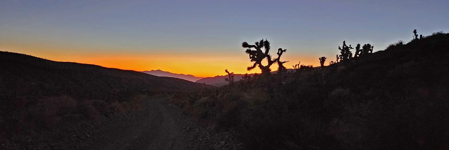 Atmospheric Sunrise Looking Down Harris Springs Rd Toward Gass Peak | Kyle Canyon Grand Crossing | Northern Half | La Madre Mountains Wilderness, Nevada