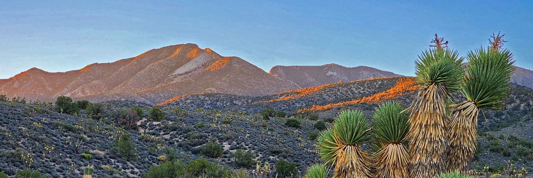 La Madre and El Padre Mountains from 4WD Approach Road at Sunrise| Kyle Canyon Grand Crossing | Northern Half | La Madre Mountains Wilderness, Nevada