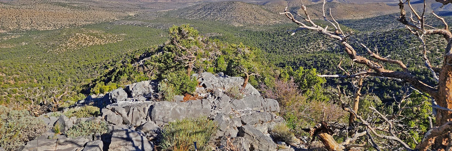 Burnt Peak Approach Ridge is a Series of Rocky Rises | Kyle Canyon Grand Crossing | Northern Half | La Madre Mountains Wilderness, Nevada