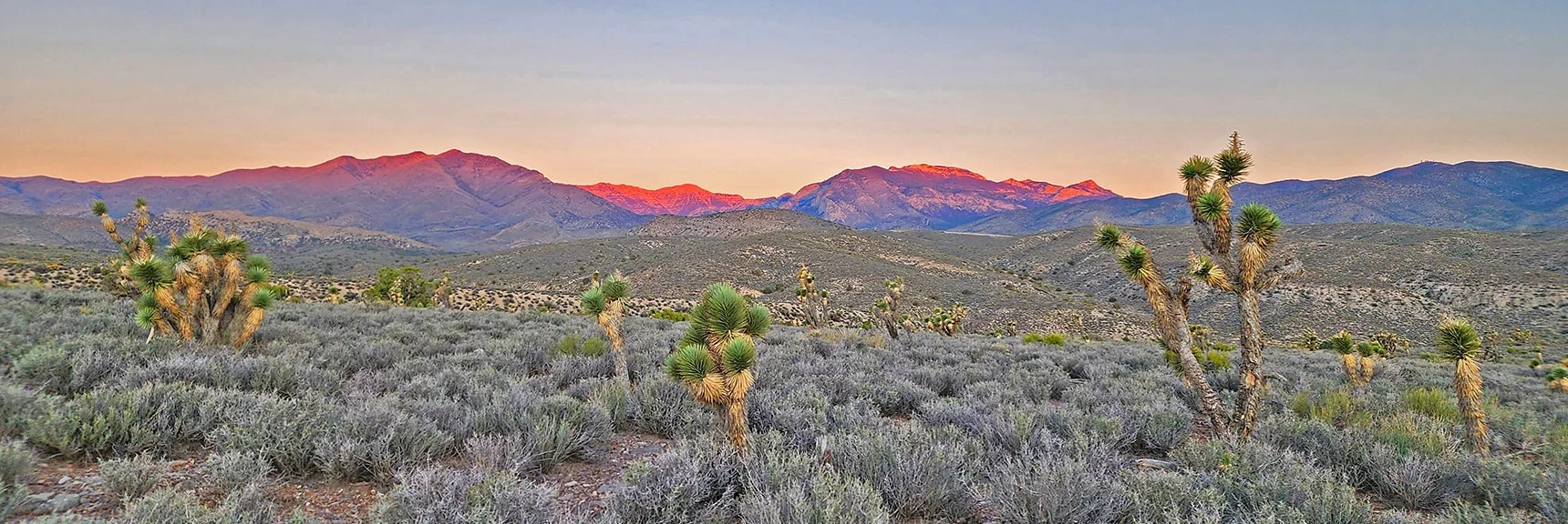 Sunrise Touching the Tips of Mt. Charleston Wilderness Peaks | Kyle Canyon Grand Crossing | Northern Half | La Madre Mountains Wilderness, Nevada
