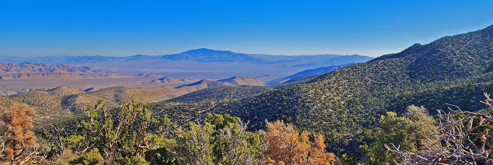 View Down to Sheep Range While Ascending Burnt Peak Approach Ridge | Kyle Canyon Grand Crossing | Northern Half | La Madre Mountains Wilderness, Nevada