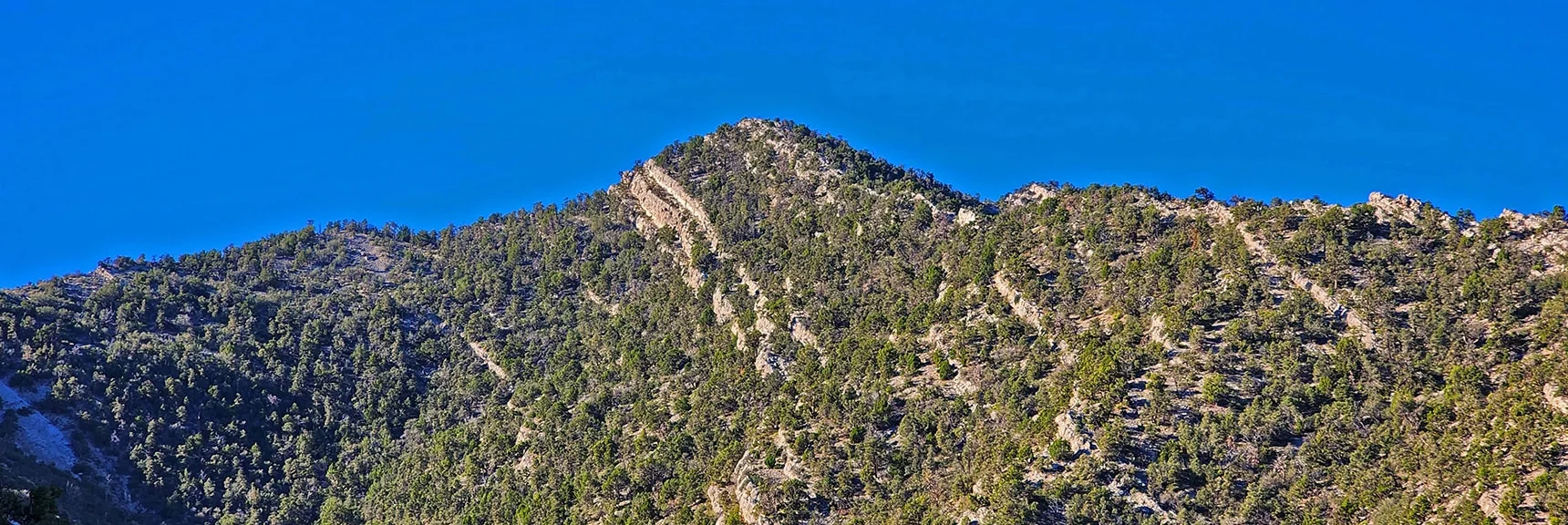 El Bastardo Peak from Lower Burnt Peak Approach Ridge | Kyle Canyon Grand Crossing | Northern Half | La Madre Mountains Wilderness, Nevada