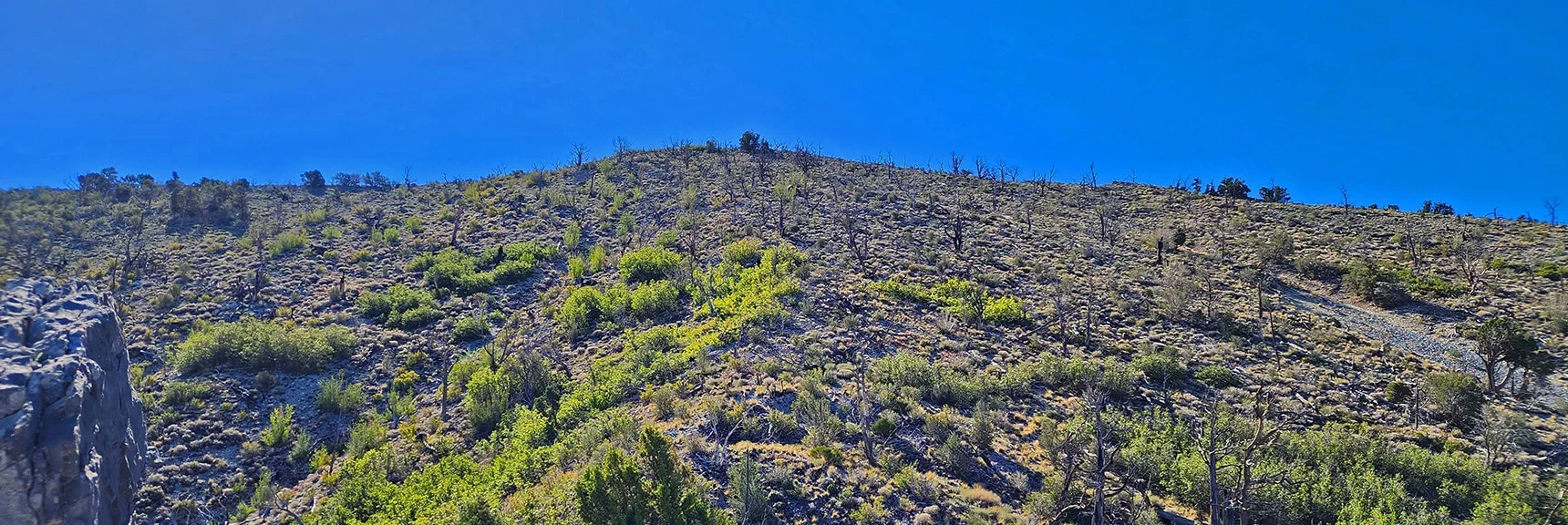 Final Approach to Burnt Peak Summit After Topping Final Rise | Kyle Canyon Grand Crossing | Northern Half | La Madre Mountains Wilderness, Nevada