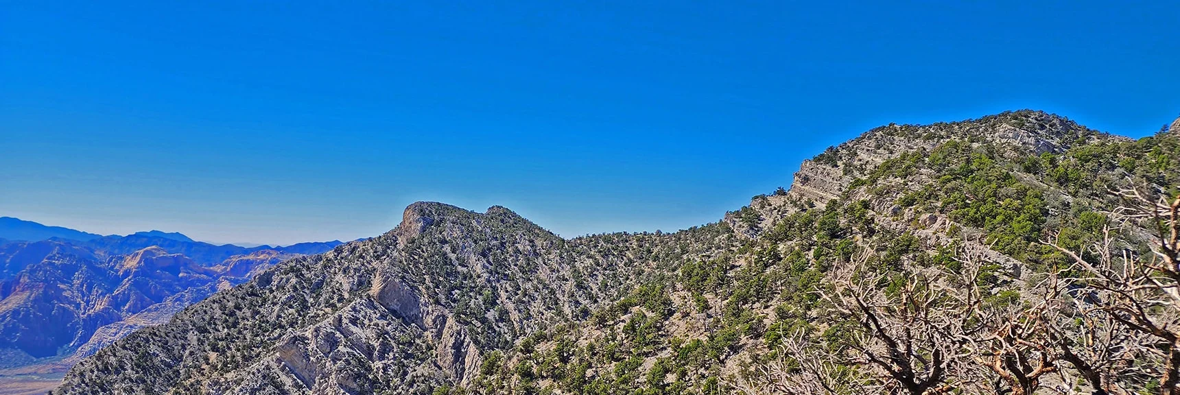 Limit of Earlier Keystone Thrust Trip from Willow Creek on Left Just Shy of El Bastardo | Kyle Canyon Grand Crossing | Northern Half | La Madre Mountains Wilderness, Nevada