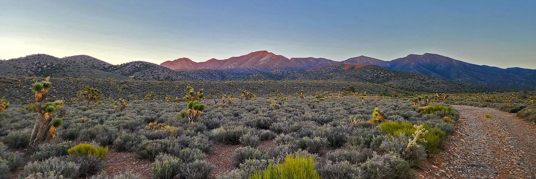 View Up 4WD Road Toward La Madre Mountains | Kyle Canyon Grand Crossing | Northern Half | La Madre Mountains Wilderness, Nevada