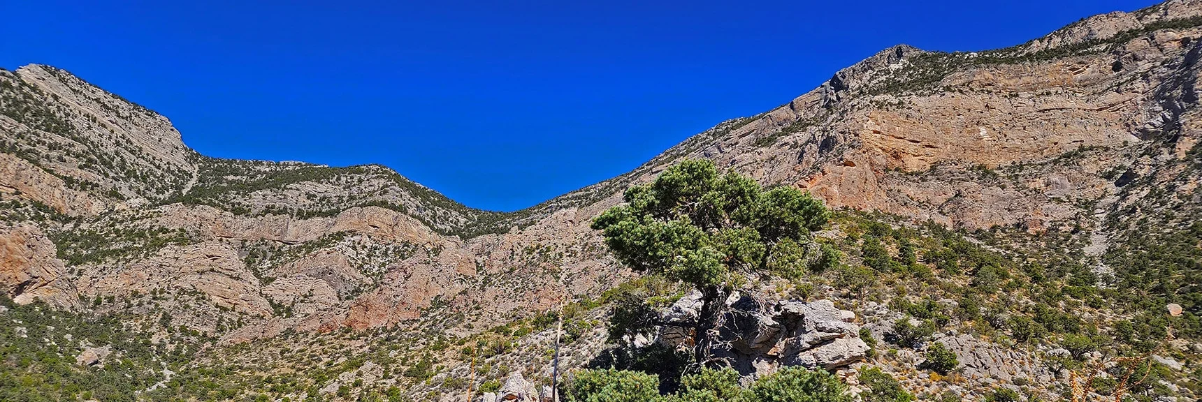 Upper Saddle. Watch for Summit Approach Routes Through Cliff Band. | Kyle Canyon Grand Crossing | Southern Half | Red Rock Canyon National Conservation Area, Nevada