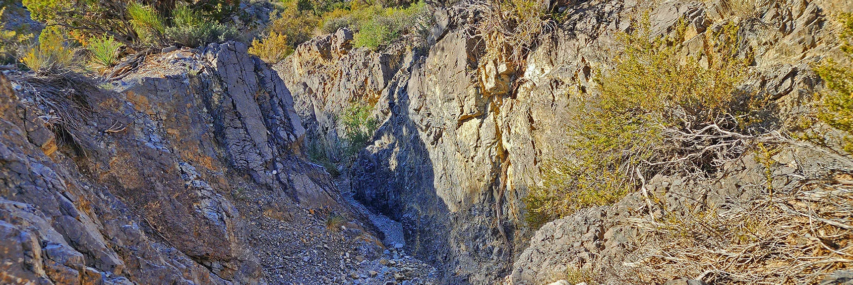 Circumvent the 2nd Dry Fall to the Right | Kyle Canyon Grand Crossing | Southern Half | Red Rock Canyon National Conservation Area, Nevada