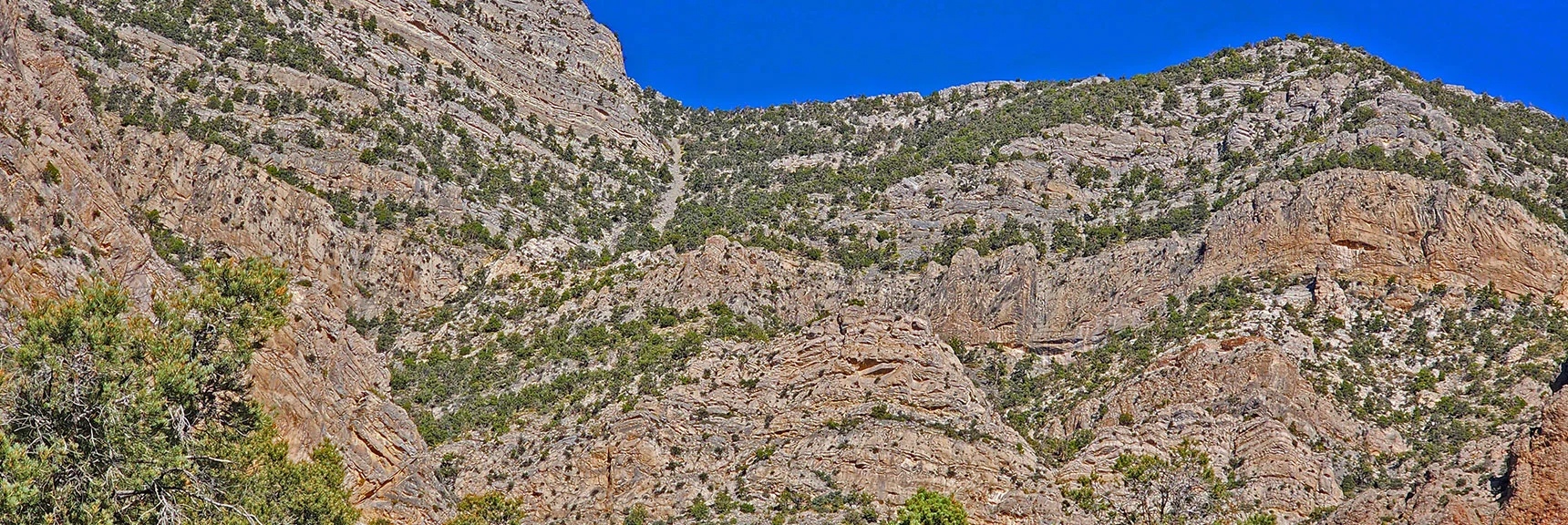 Reached Cliff Base. Scanning for Openings to Summit | Kyle Canyon Grand Crossing | Southern Half | Red Rock Canyon National Conservation Area, Nevada