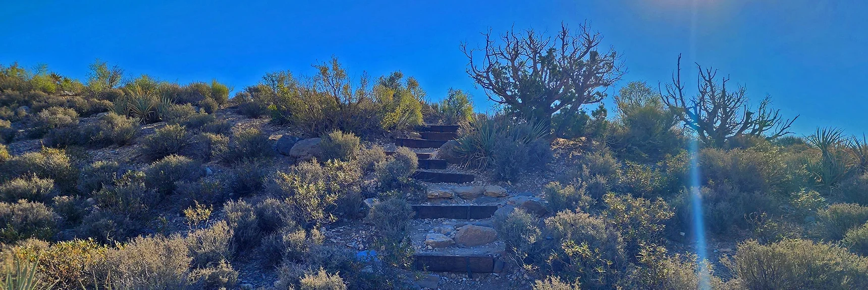 The Keystone Thrust Trail Soon Splits Off to the Right. Take it. | Kyle Canyon Grand Crossing | Southern Half | Red Rock Canyon National Conservation Area, Nevada
