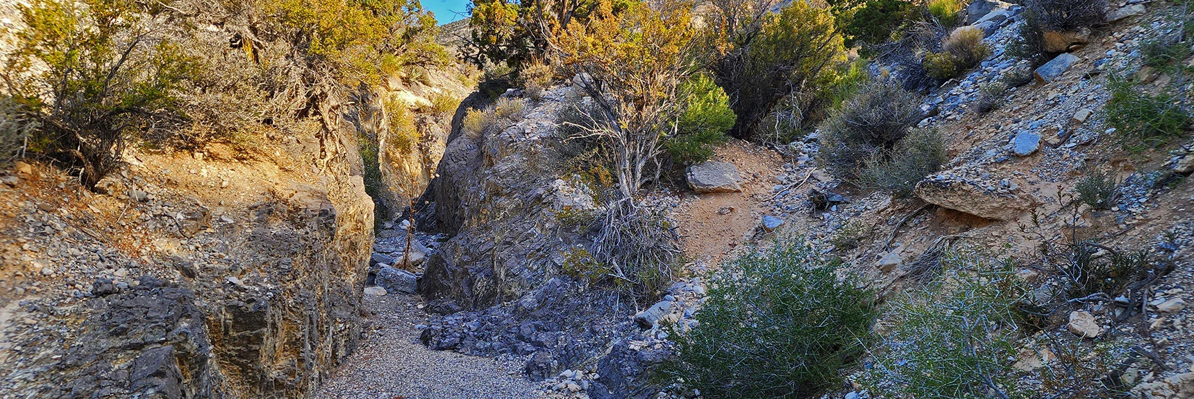 If You Stay in the Wash, There are Only 2 Barriers Before You Reach the Cliffs | Kyle Canyon Grand Crossing | Southern Half | Red Rock Canyon National Conservation Area, Nevada