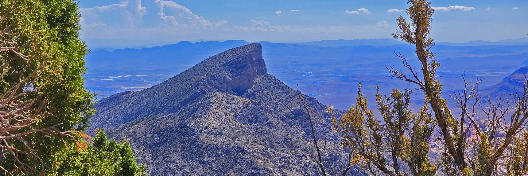 View Down to Turtlehead Peak. Las Vegas Valley in Background | Kyle Canyon Grand Crossing | Southern Half | Red Rock Canyon National Conservation Area, Nevada