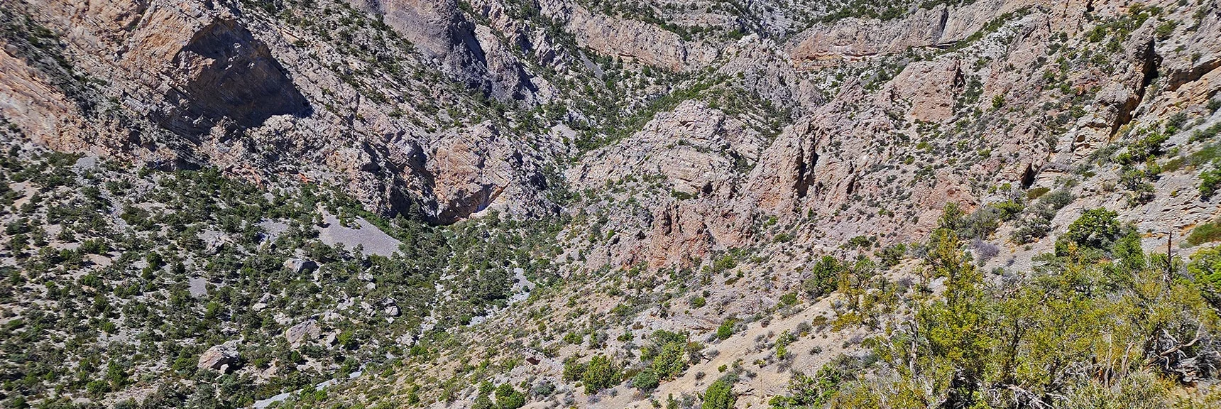Where the Wash Meets the Cliff Base and Potential Summit Approach | Kyle Canyon Grand Crossing | Southern Half | Red Rock Canyon National Conservation Area, Nevada