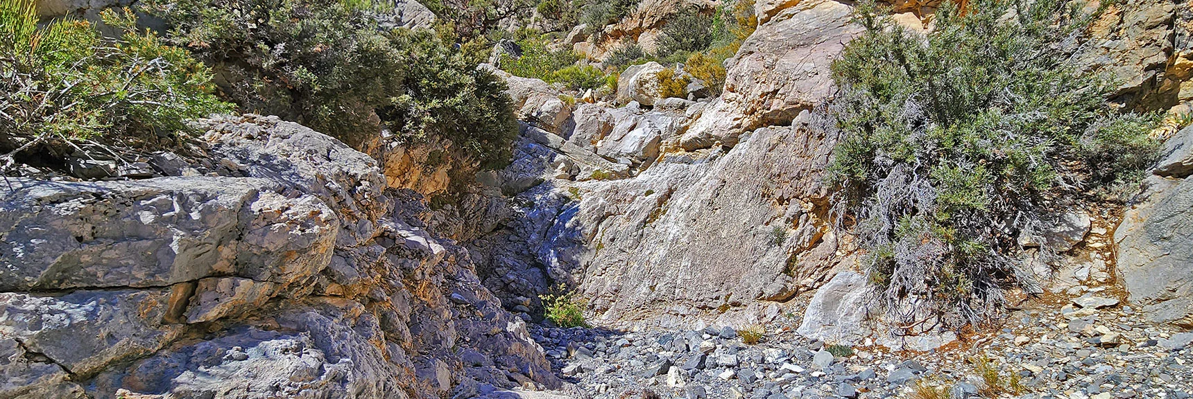 Both Splits of Main Wash End in Barriers. Here's the Left Split Barrier. | Kyle Canyon Grand Crossing | Southern Half | Red Rock Canyon National Conservation Area, Nevada