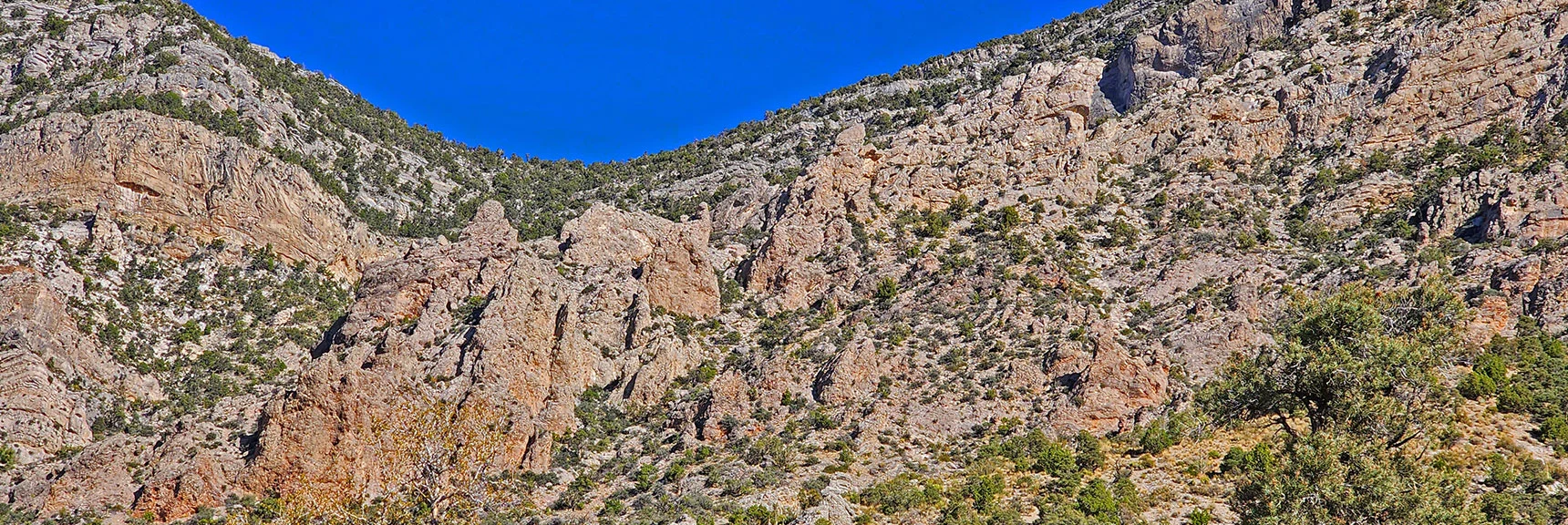 Best Option to Explore Appears to be up the Center/Right | Kyle Canyon Grand Crossing | Southern Half | Red Rock Canyon National Conservation Area, Nevada