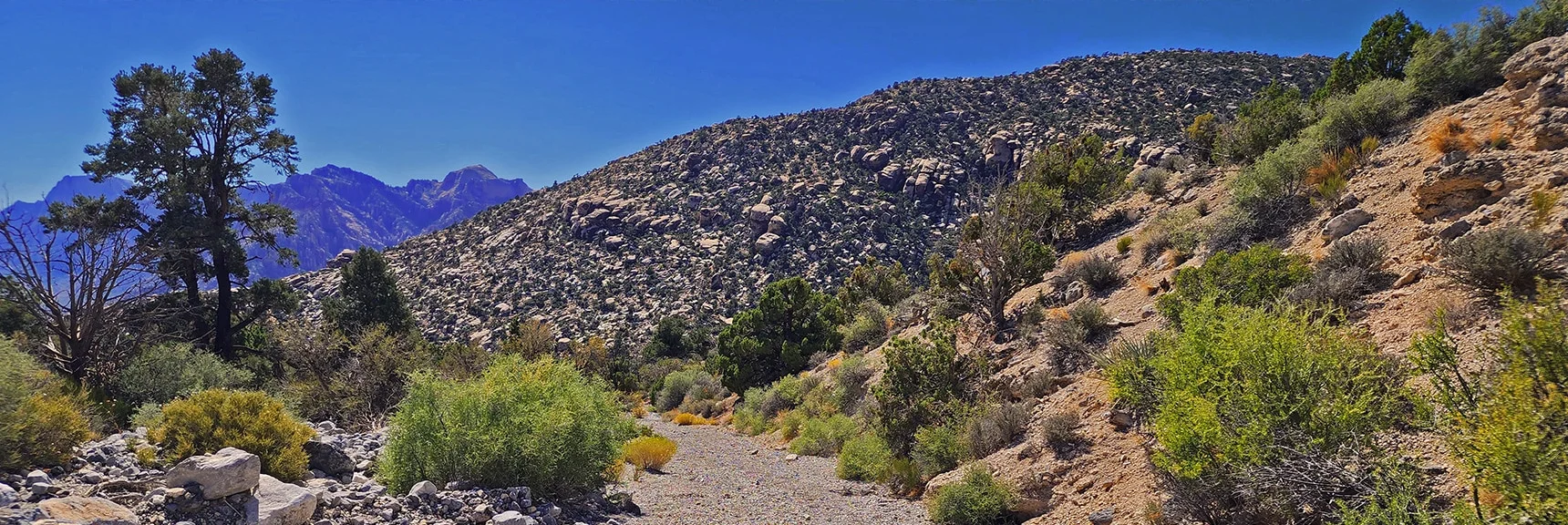 Closing In on White Rock Mountain and Trailhead | Kyle Canyon Grand Crossing | Southern Half | Red Rock Canyon National Conservation Area, Nevada
